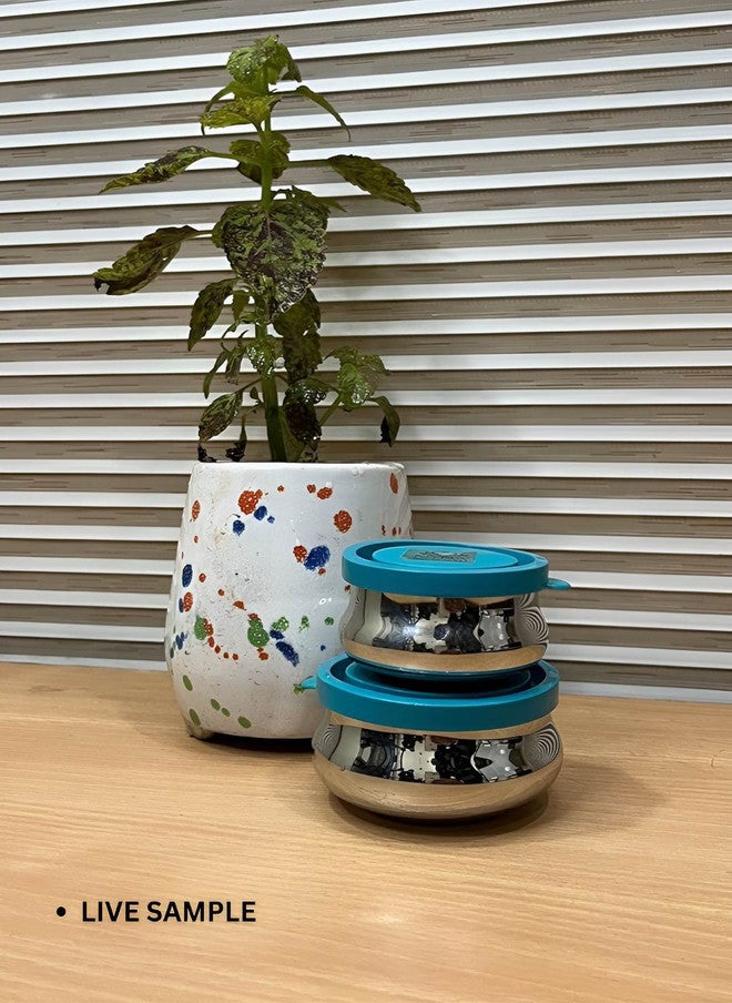 Nyra Kitchenware Steel Stainless Steel Leak Resistant 2 Piece Magnetic Canister - Image 3